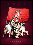 Rinnetenshou ~ANGERME Past, Present & Future~ Limited Edition A