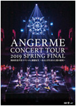 ANGERME Concert Tour 2019 Haru Final Wada Ayaka Sotsugyou Special Rinnetenshou ~Aru Toki Umareta Ai no Teishou~