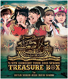 2013 Spring ~Treasure Box~
